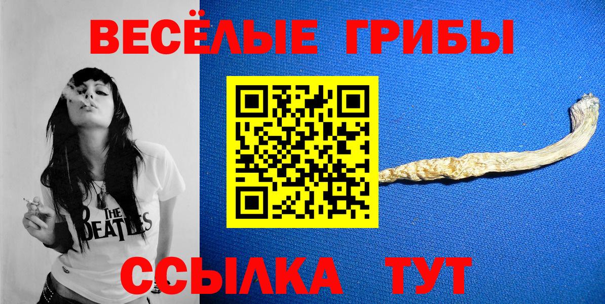 Богородицк  Псилоцибиновые грибы Psilocybe  Вход с VPN  наркота  Псилоцибиновые грибы Magic Shrooms 